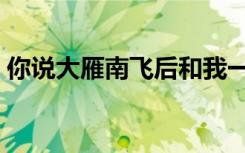 你说大雁南飞后和我一起走是什么歌（你说）