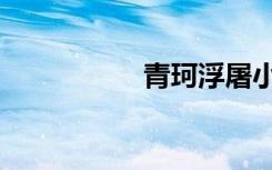 青珂浮屠小说（清珂）