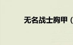 无名战士胸甲（无名战士之甲）