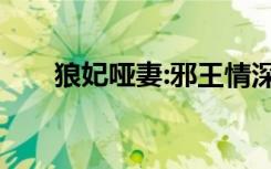 狼妃哑妻:邪王情深 小说（邪王狼妃）
