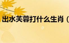 出水芙蓉打什么生肖（出水芙蓉打一个生肖）
