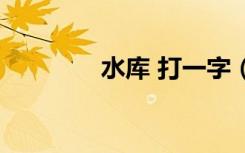 水库 打一字（水库打一字）