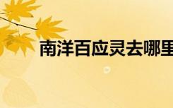 南洋百应灵去哪里买（南洋百应灵）