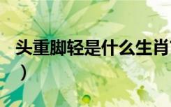 头重脚轻是什么生肖?!（头重脚轻是什么生肖）