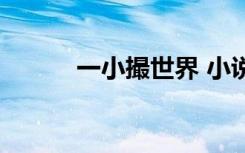 一小撮世界 小说（一小撮世界）