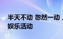 半天不动 忽然一动 上面欢喜 下面好痛,猜一娱乐活动