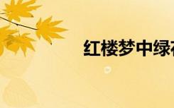 红楼梦中绿花（绿楼梦）