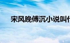 宋风晚傅沉小说叫什么名字（宋风txt）