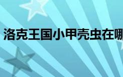 洛克王国小甲壳虫在哪（洛克王国小甲壳虫）