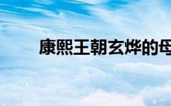 康熙王朝玄烨的母亲（玄烨的母亲）