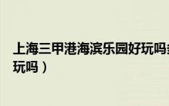 上海三甲港海滨乐园好玩吗多少钱（上海三甲港海滨乐园好玩吗）