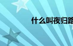 什么叫夜归路（归路夜安）
