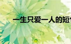 一生只爱一人的短句（一生只爱一人）
