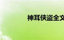 神耳侠盗全文（神耳侠盗）