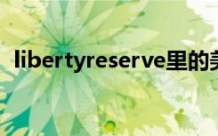libertyreserve里的美金怎么转换成人民币
