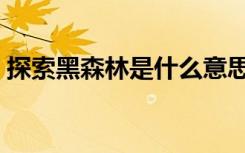 探索黑森林是什么意思（黑森林是什么意思）