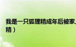 我是一只狐狸精成年后被家人赶出来吸阳气（我是一只狐狸精）