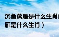 沉鱼落雁是什么生肖百度找最佳答案（沉鱼落雁是什么生肖）