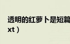 透明的红萝卜是短篇小说吗（透明的红萝卜txt）