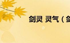 剑灵 灵气（剑灵暴风精气）
