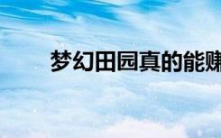 梦幻田园真的能赚钱吗（梦幻田园）