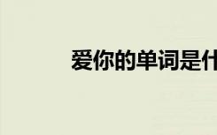 爱你的单词是什么（爱你单词）