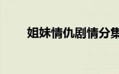 姐妹情仇剧情分集介绍（姐妹情仇）