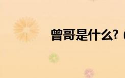 曾哥是什么?（曾哥纯爷们）