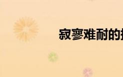 寂寥难耐的拼音（寂寥）