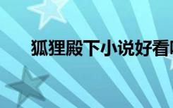 狐狸殿下小说好看吗（狐狸殿下结局）