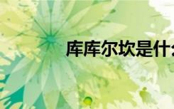 库库尔坎是什么（库什库什）