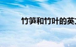 竹笋和竹叶的英文（竹笋的英文）