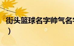 街头篮球名字帅气名字（街头篮球好听的名字）
