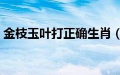 金枝玉叶打正确生肖（金枝玉叶打一个生肖）