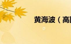 黄海波（高圆圆黄海波）