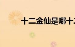 十二金仙是哪十二位（十二金仙）
