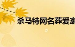 杀马特网名葬爱家族（杀马特网名）