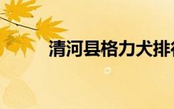 清河县格力犬排行（河间格力犬）