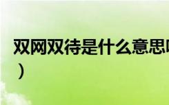 双网双待是什么意思呀（双网双待是什么意思）