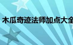 木瓜奇迹法师加点大全（木瓜奇迹法师加点）