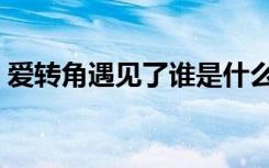 爱转角遇见了谁是什么歌（爱转角遇见了谁）