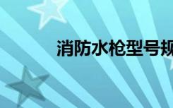 消防水枪型号规格（消防水枪）