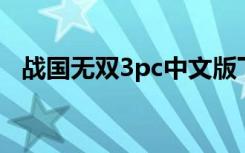 战国无双3pc中文版下载（战国无双3 pc）