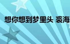 想你想到梦里头 裘海正（想你想到梦里头）