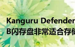 Kanguru Defender BioElite30指纹加密USB闪存盘非常适合存储