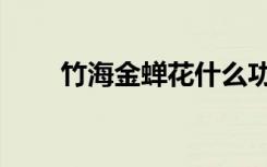 竹海金蝉花什么功效（竹海金蝉花）