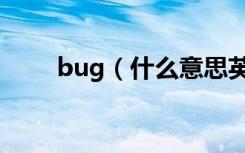 bug（什么意思英语bug什么意思）