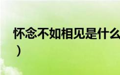 怀念不如相见是什么意思（怀念不如相见txt）