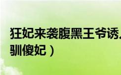 狂妃来袭腹黑王爷诱入怀（狂妃来袭腹黑残王驯傻妃）