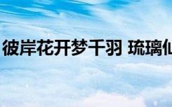彼岸花开梦千羽 琉璃仙殿（彼岸花开梦千羽）